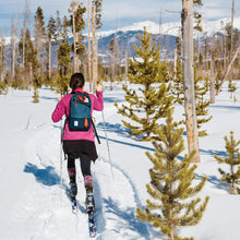 Load image into Gallery viewer, Topo Designs Trip Pack Bag
